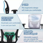 Sedia da ufficio ergonomica in rete Nera/Blu/Grigia/Rossa/Bianca con supporto lombare e massaggio, utente singolo, capacità 181 kg