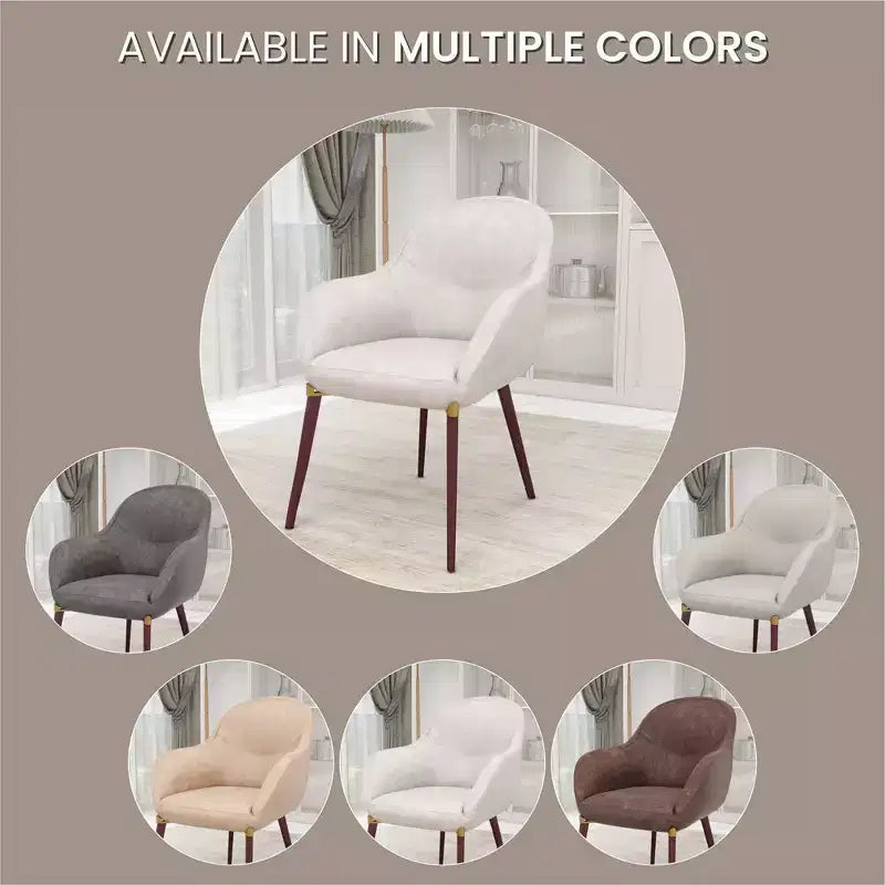 Sedia da pranzo imbottita con schienale a botte per 1 – Pelle o velluto, gambe verniciate a polvere (Beige / Marrone / Grigio / Tortora)